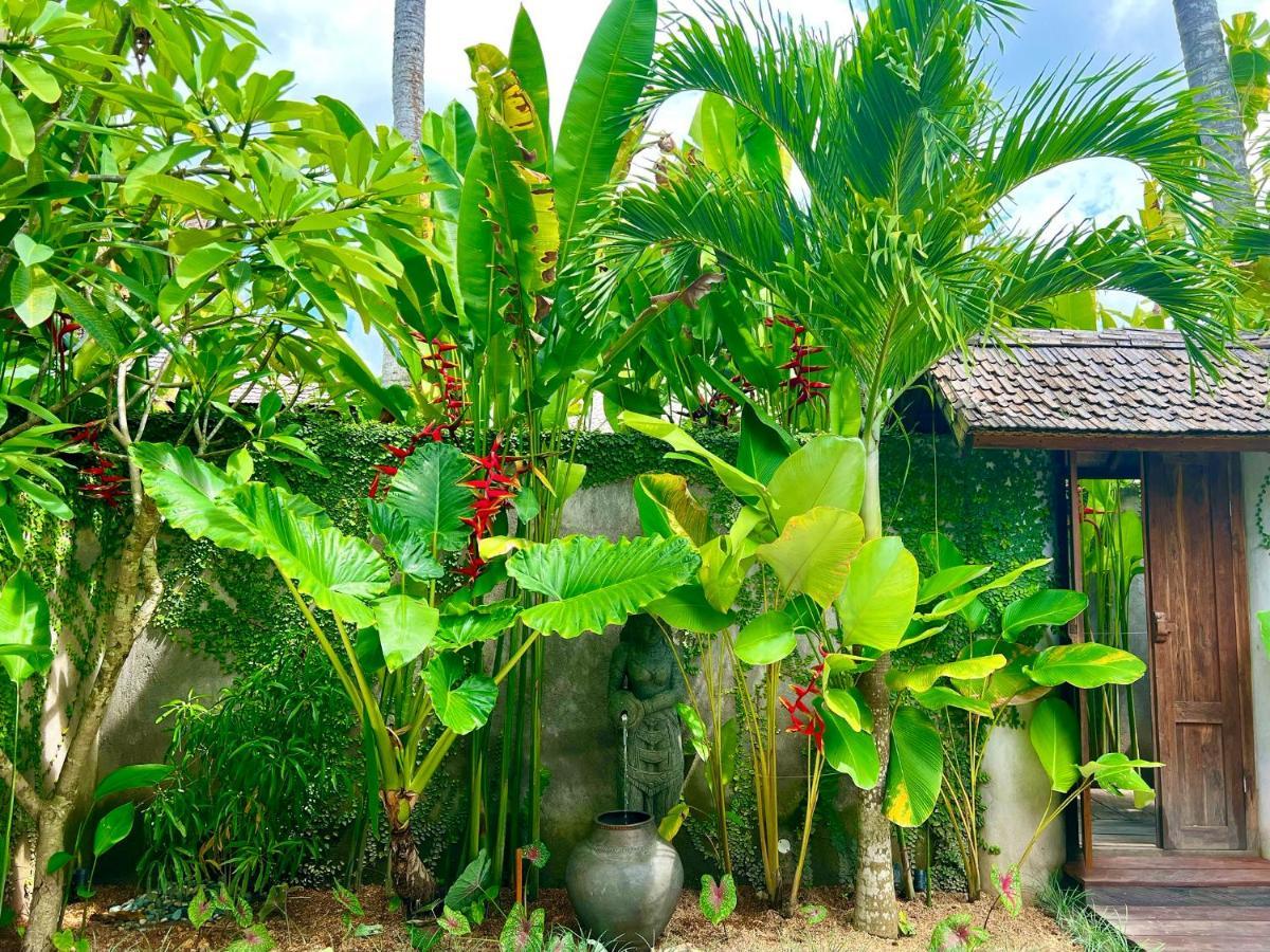 Jati Kuta Lombok Hotel Екстериор снимка